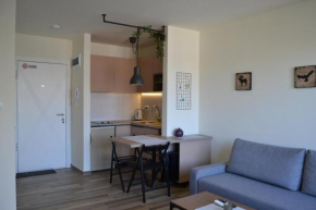 Apartman Alisa